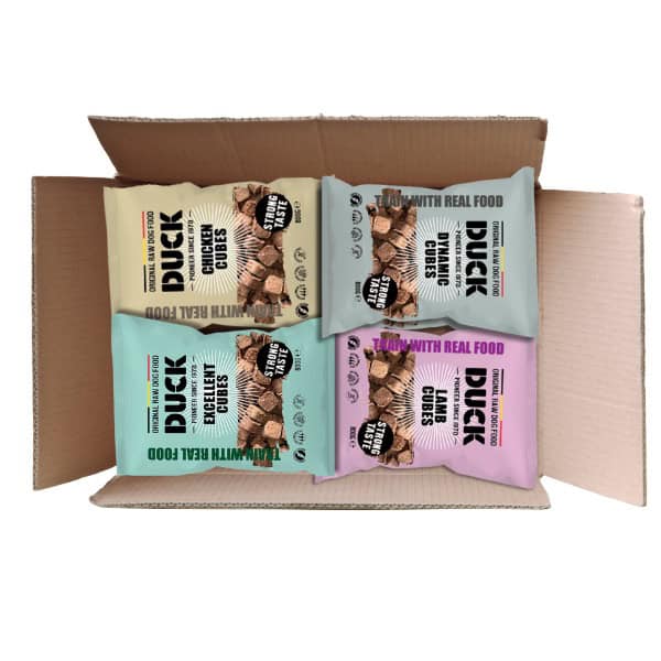 Duck Cubes Lam kip Dynamic Excellent bestellen - Floris Vlees