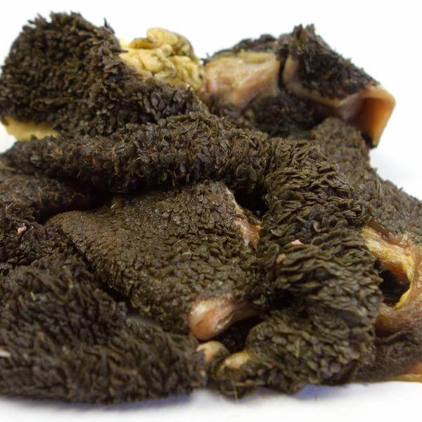 Hertenpens rauw - Floris Vlees om zelf te drogen