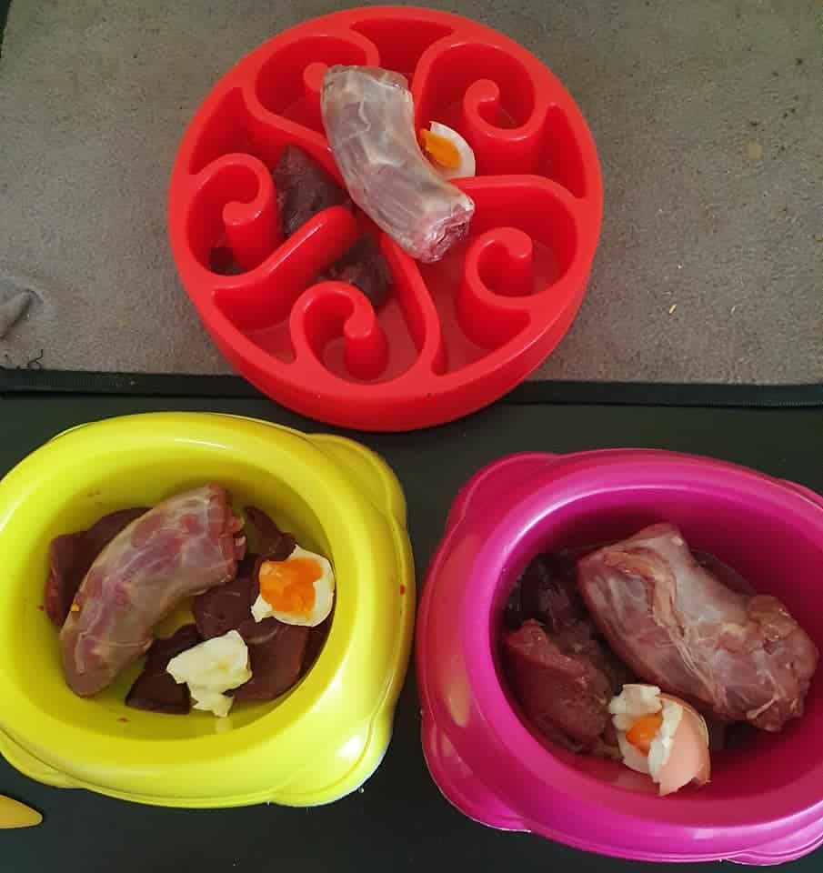 BARF vlees hondenvoeding - Floris Vlees