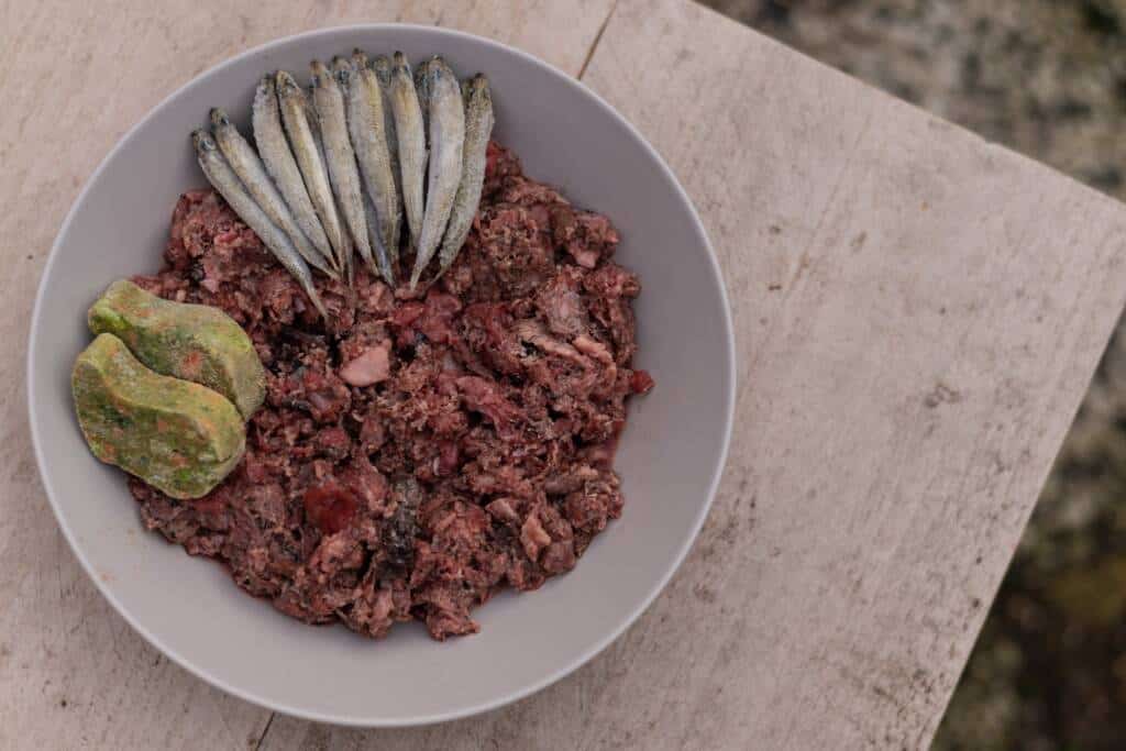 variate voeding hond of kat