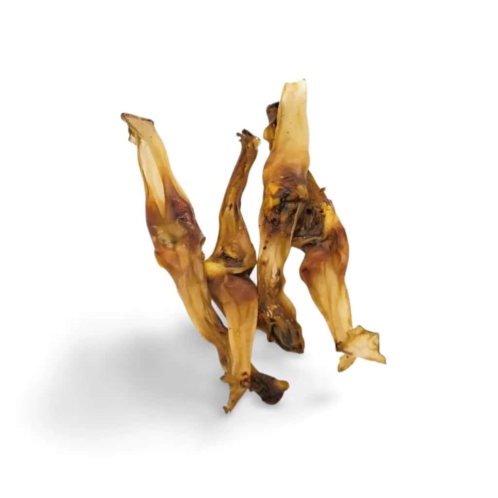 Konijnenoren zonder vacht haar